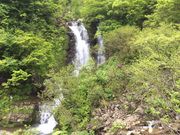 マイBOOさんのよもしろうの滝の投稿写真1