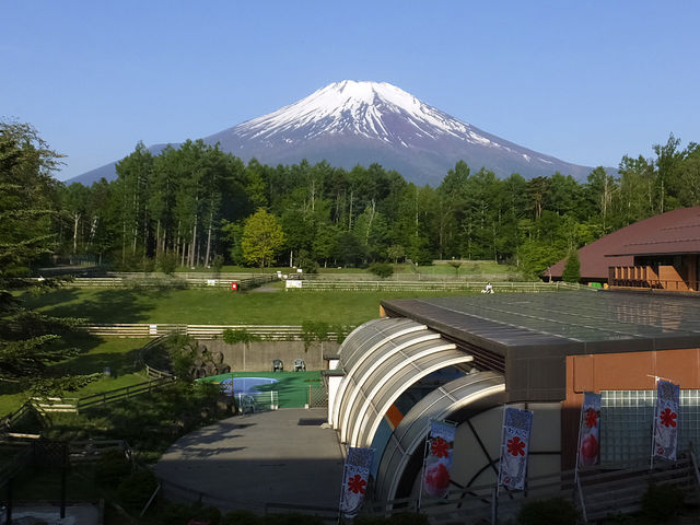 2階富士山ピューのお部屋からの眺め_ドッグリゾート Woof