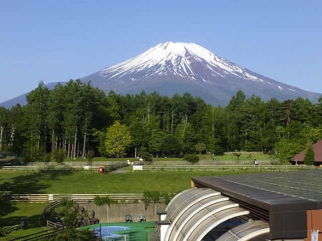 2階富士山ピューのお部屋からの眺め_ドッグリゾート Woof