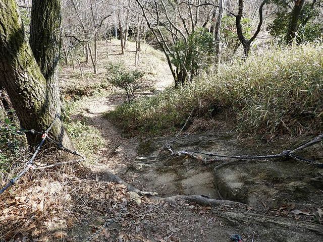 ハードです
_飯盛城跡