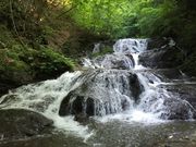 イワダイさんの魚止めの滝の投稿写真1