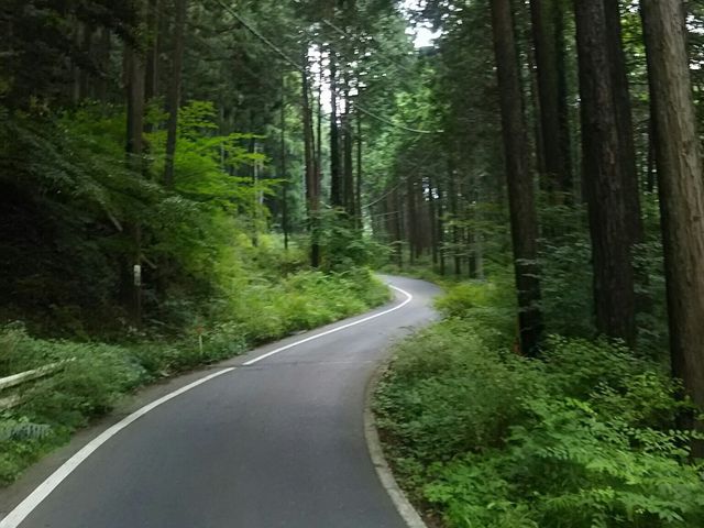 なかなか険しい道。_日向渓谷マス釣場