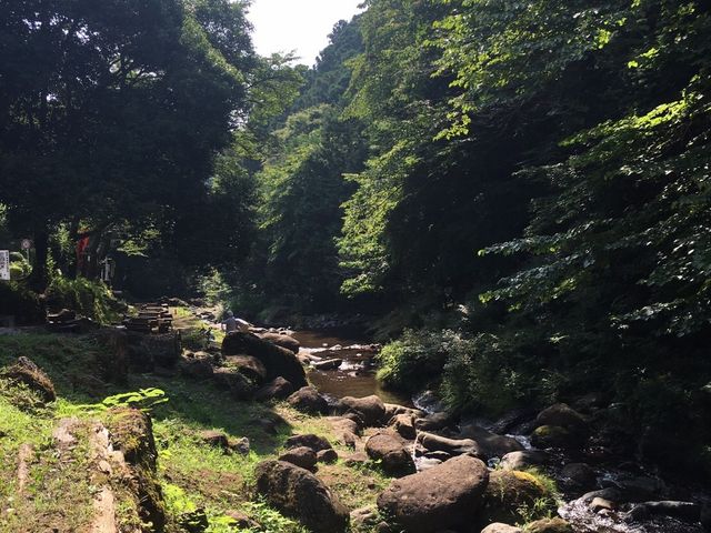 渓流の様子_日向渓谷マス釣場