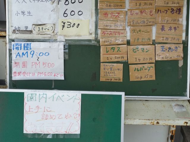 料金表_石田観光農園