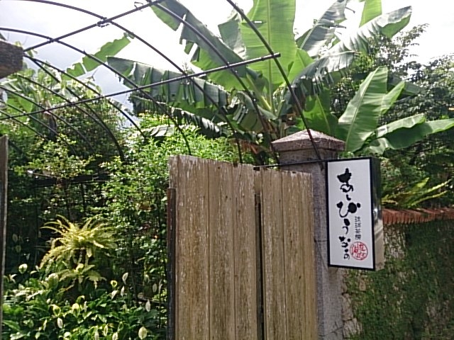 緑に覆われた入口_琉球茶房あしびうなぁ