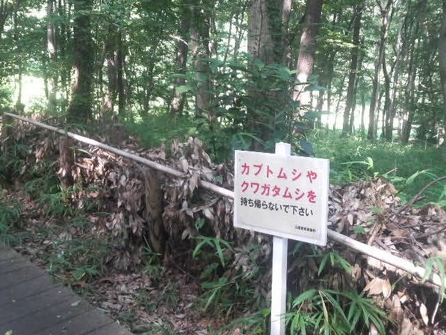 持ち帰らないでくださいとのことです。_昆虫の森