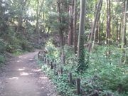 さとけんさんの県立座間谷戸山公園の投稿写真2
