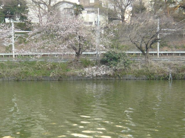 カフェ_CANAL・CAFE