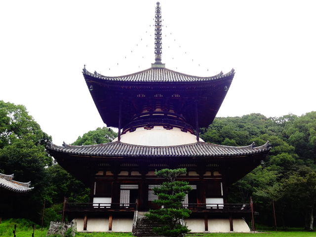 根来_根来