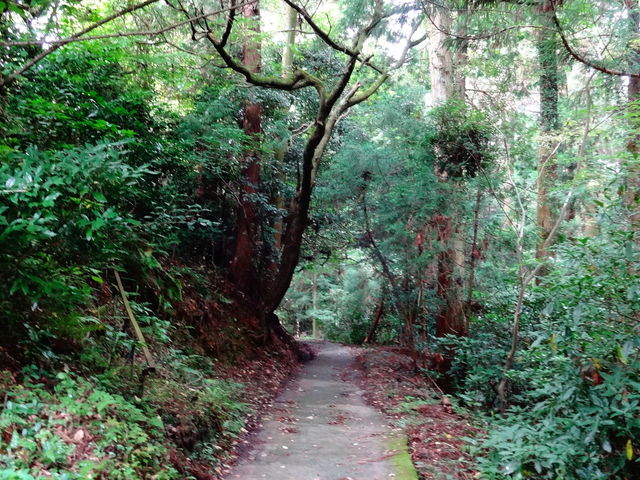 町石道_町石道