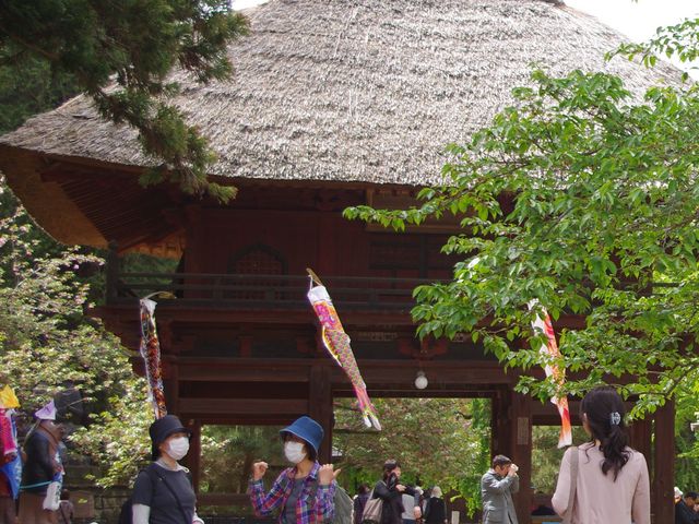 茂林寺_茂林寺公園