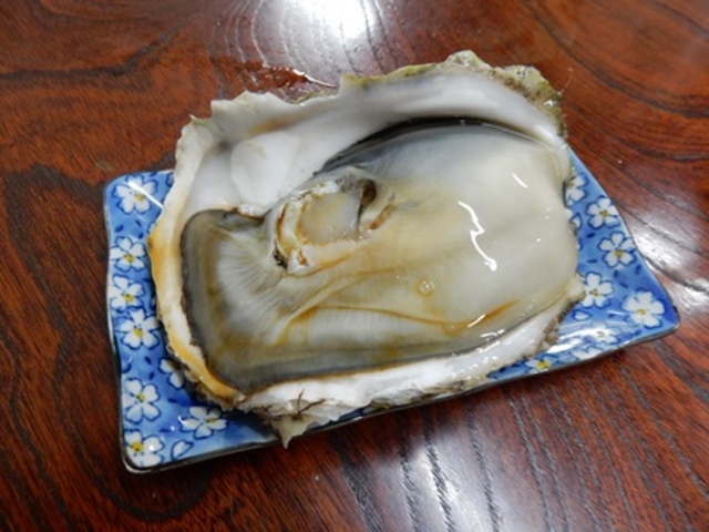 大岩ガキ780円_魚福
