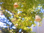 しょうこさんの岐阜県美術館の投稿写真1