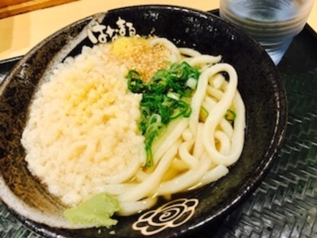 かけうどん_はなまるうどん 目黒駅東口店