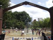 雷雷クーンさんの日暮里南公園の投稿写真1