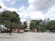 雷雷クーンさんの日暮里南公園の投稿写真2