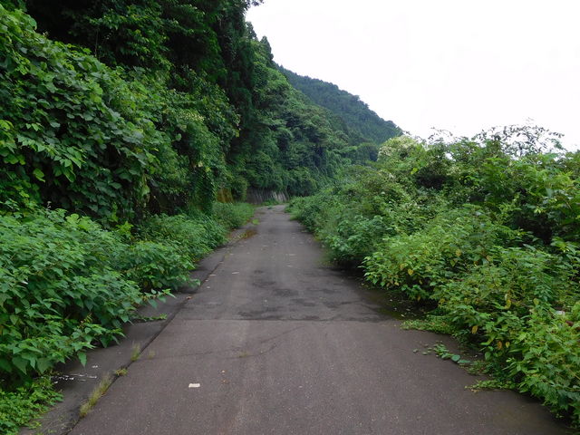 親不知コミュニティロード