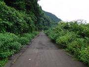 纏さんの親不知コミュニティロードの投稿写真1