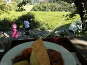 りんさんのラッキーガーデンの投稿写真1