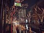ひでとさんのけやき通りの投稿写真1
