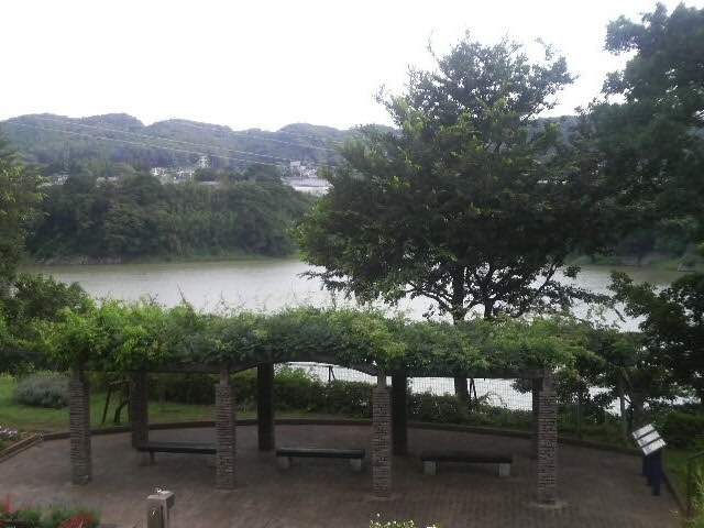 県立津久井湖城山公園_県立津久井湖城山公園