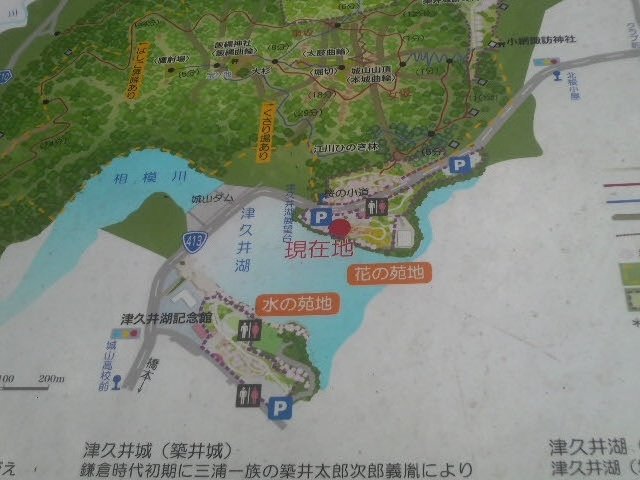 県立津久井湖城山公園の案内図_県立津久井湖城山公園