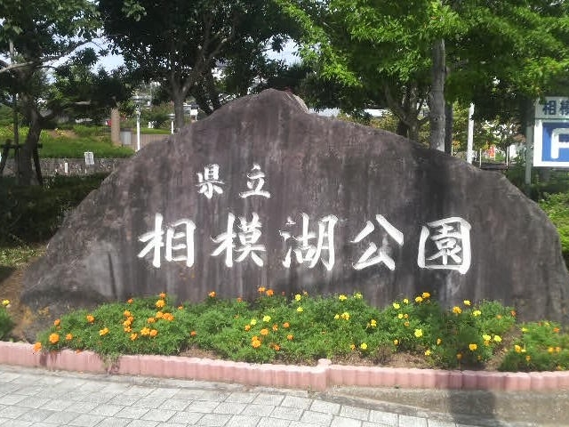 県立相模湖公園へやってきました_県立相模湖公園
