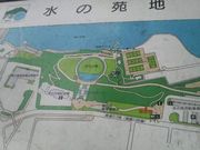 さとけんさんの神奈川県立津久井湖城山公園・水の苑地・花の苑地の投稿写真4