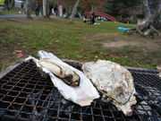 のんぶえさんの子野日公園の投稿写真1