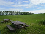 けんじさんの夢がいっぱい牧場の投稿写真1