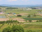 たかちゃんさんの萌の丘の投稿写真2