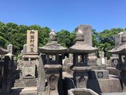 ひげはんさんの南洲墓地の投稿写真1