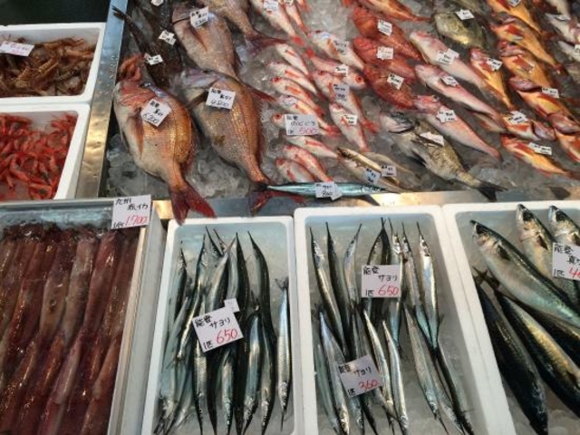 魚の陳列_金沢港いきいき魚市