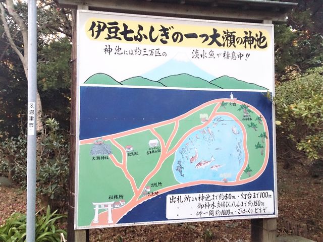 看板が有りました_大瀬崎