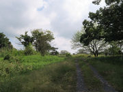 はじめさんの谷中村史跡保全ゾーンの投稿写真1