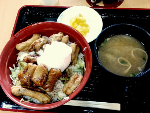 B級グルメのけいちゃん唐揚げ丼_美濃加茂サービスエリア