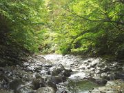 Kさんの中津川渓谷の投稿写真1