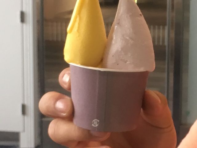 驚くほどマンゴーの味が強かったです_ViTO cafe 薬院店