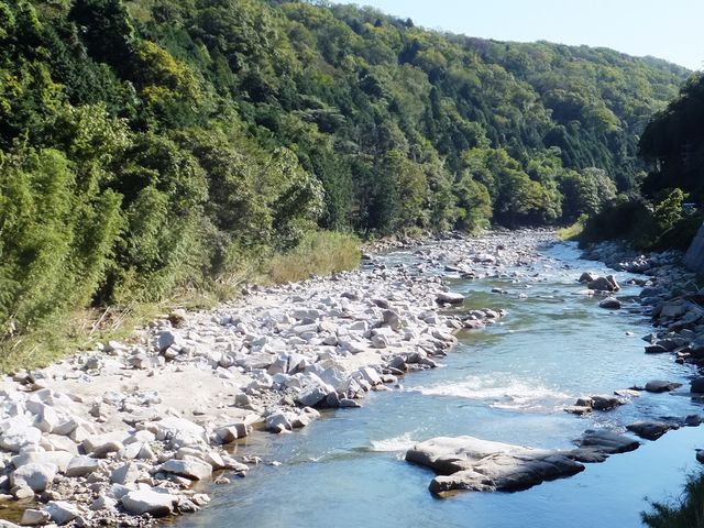 上野地区東部に流れていきます_上野地区