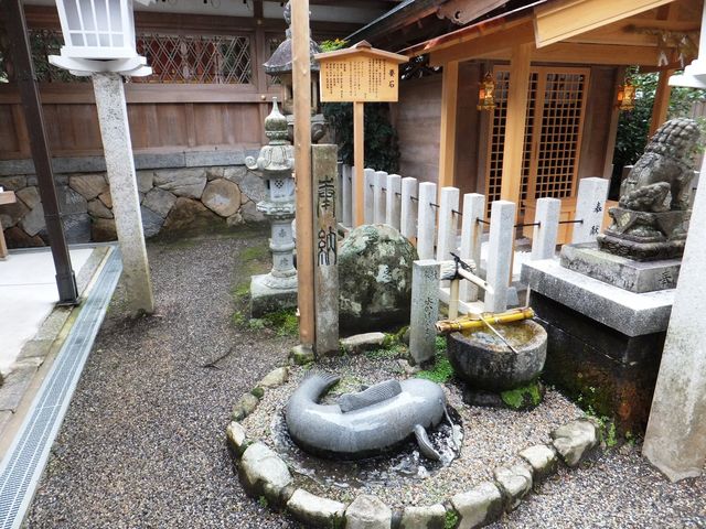 水かけなまず君も嬉しそう_大村神社