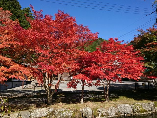 龍泉寺です_龍泉寺