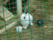 ponちゃんさんの石浦神社の投稿写真2