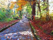 ポン助さんの石畳の参道の投稿写真3