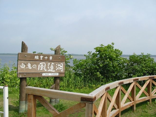 風連湖_風蓮湖