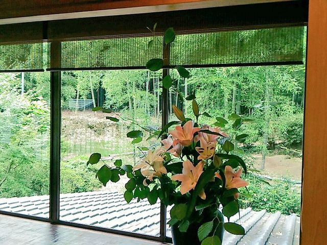 室内から見たお庭_京料理・筍亭