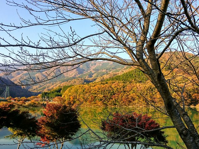 吊り橋と交換_もみじ谷大吊橋