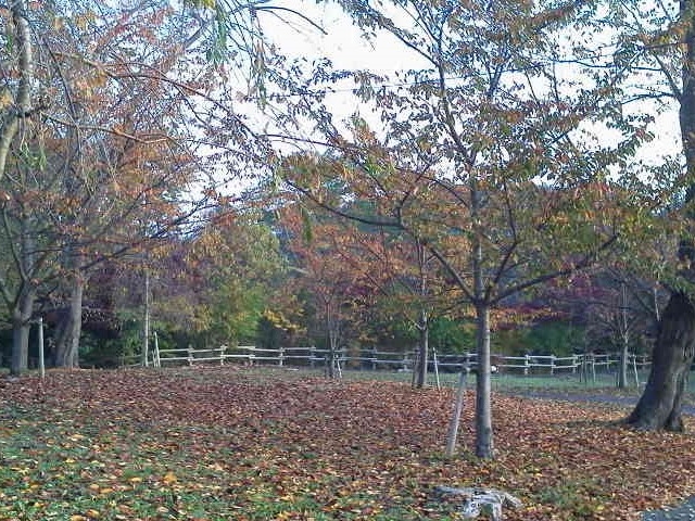 園内_芦野公園