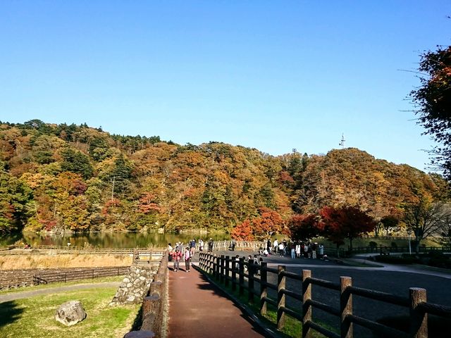 紅葉_もみじ谷大吊橋