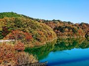 yu‐cyanさんのもみじ谷大吊橋の投稿写真1