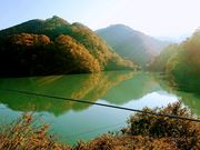 yu‐cyanさんのもみじ谷大吊橋の投稿写真1